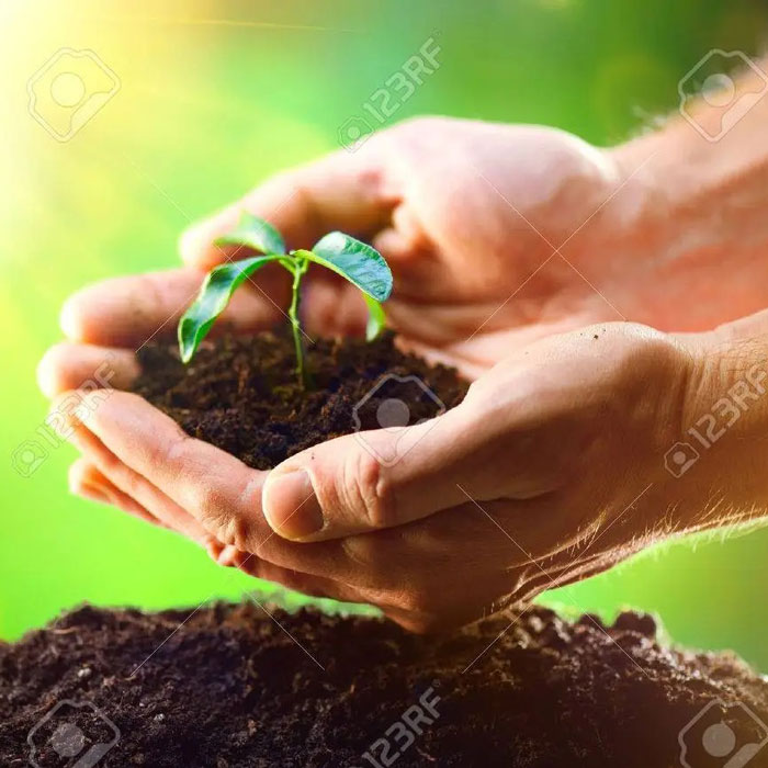 امنیت سایبری و حفاظت داده